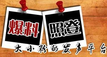 成都新闻爆料平台,聚焦城市热点，揭秘幕后真相  第1张